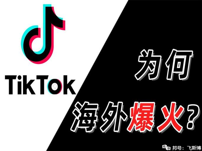 TikTok的海外广告代理商有哪些呢