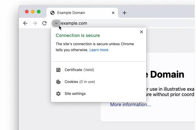 Chrome 94将上线HTTPS-First选项