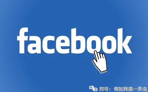 飞斯博|Face book海外企业广告账户代理商开稳定美国户、南美户、香港户